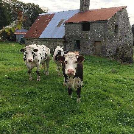 The Gingerbread House *