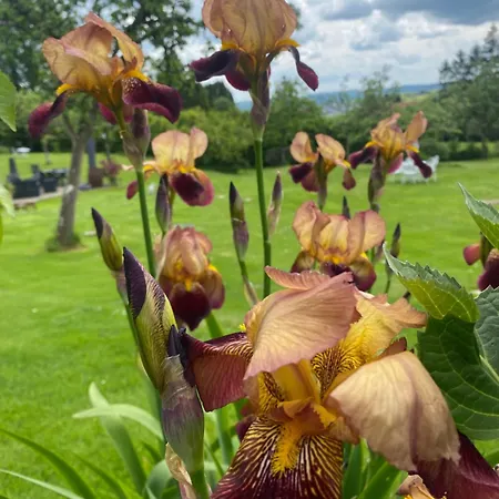 The Gingerbread House Vakantiehuis *