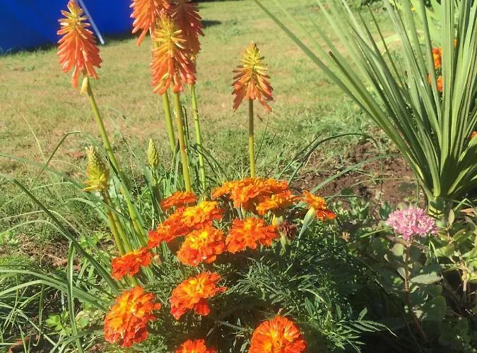 Vakantiehuis The Gingerbread House Beauficel