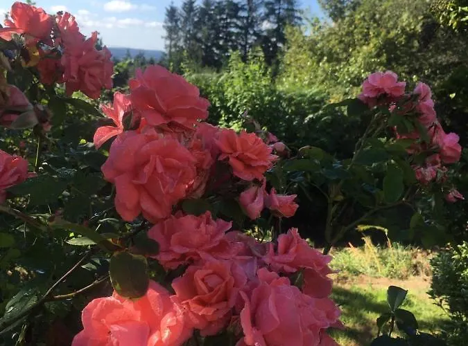 The Gingerbread House Holiday home *
