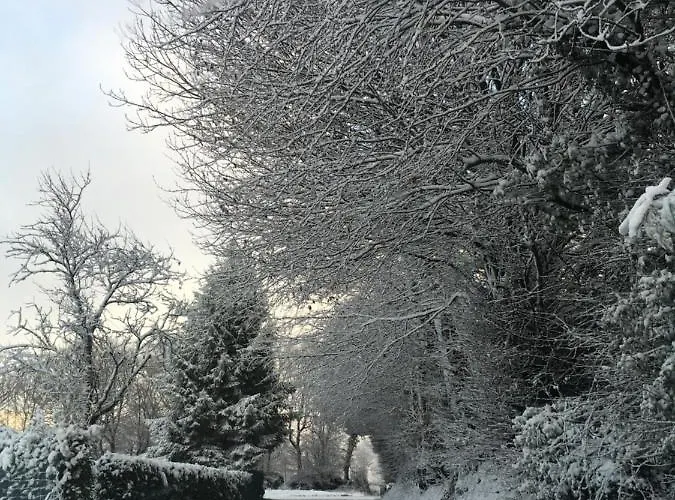 The Gingerbread House