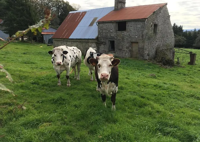 The Gingerbread House *