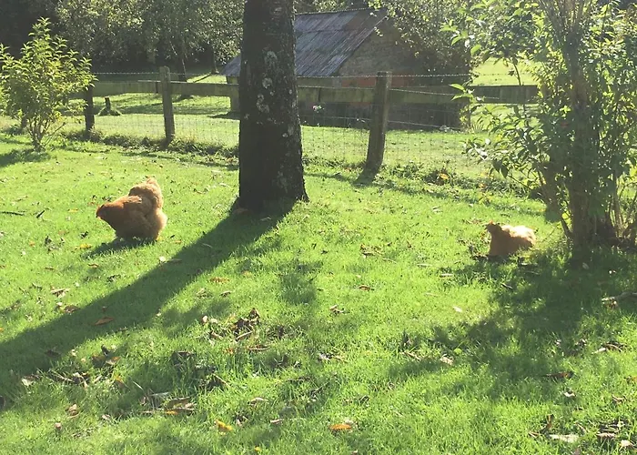 Vakantiehuis The Gingerbread House *
