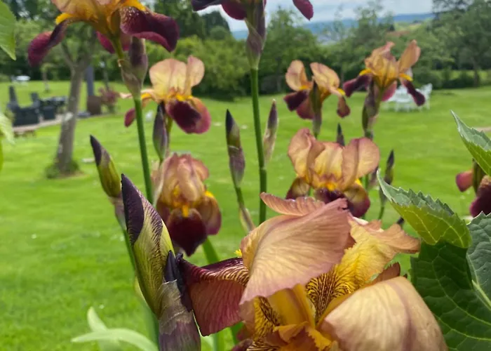 The Gingerbread House Vakantiehuis *